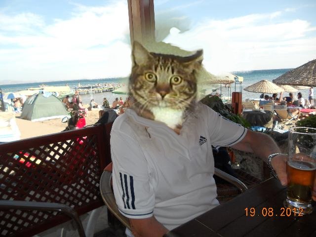 sir henry happenpappen